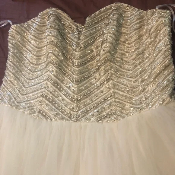 Jewel Tulle Plus Size Wedding Dress 22W David’s bridal